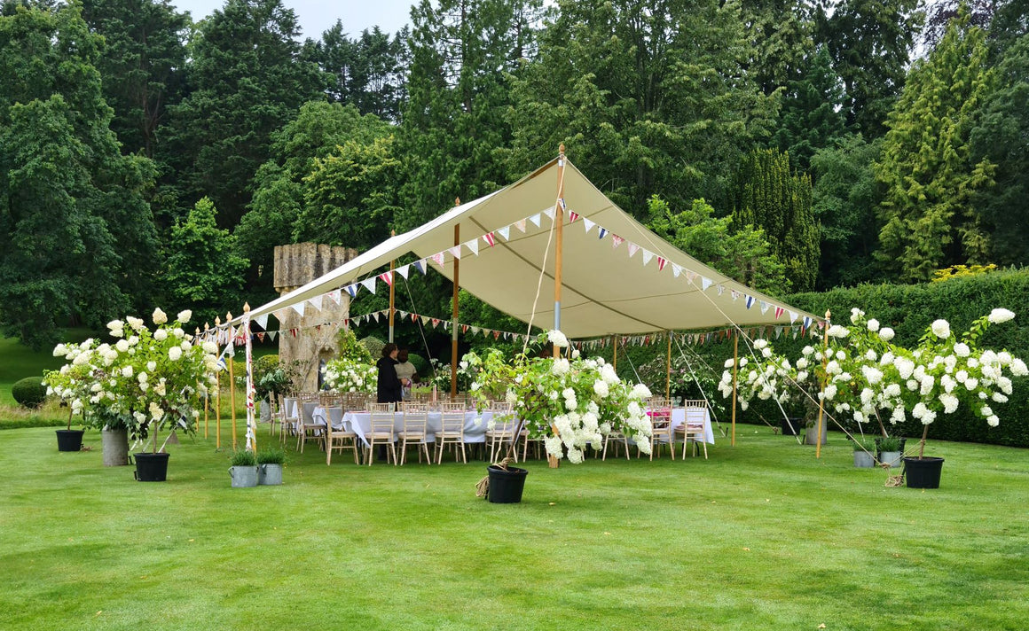 Rental - Canopy Tent (35x28ft) - Click on photo for more detail