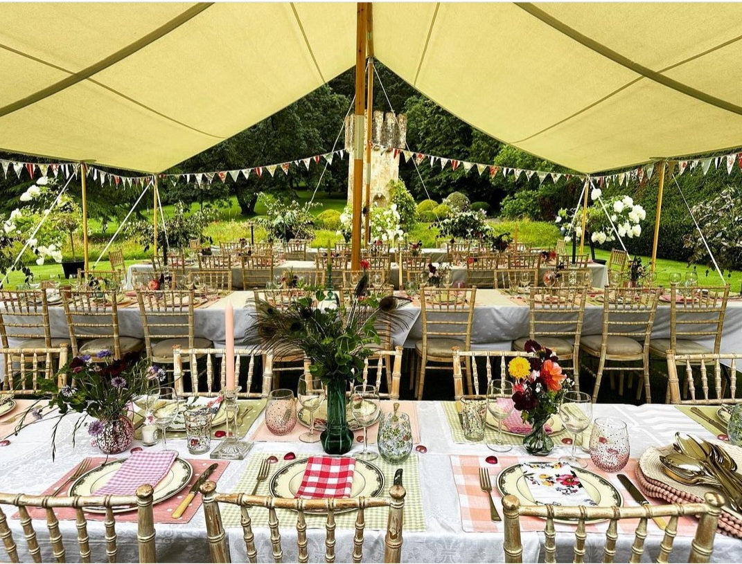 Rental - Canopy Tent (35x28ft) - Click on photo for more detail